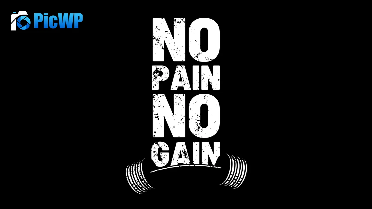 No pain No gain Inspiring 6K PC Wallpaper