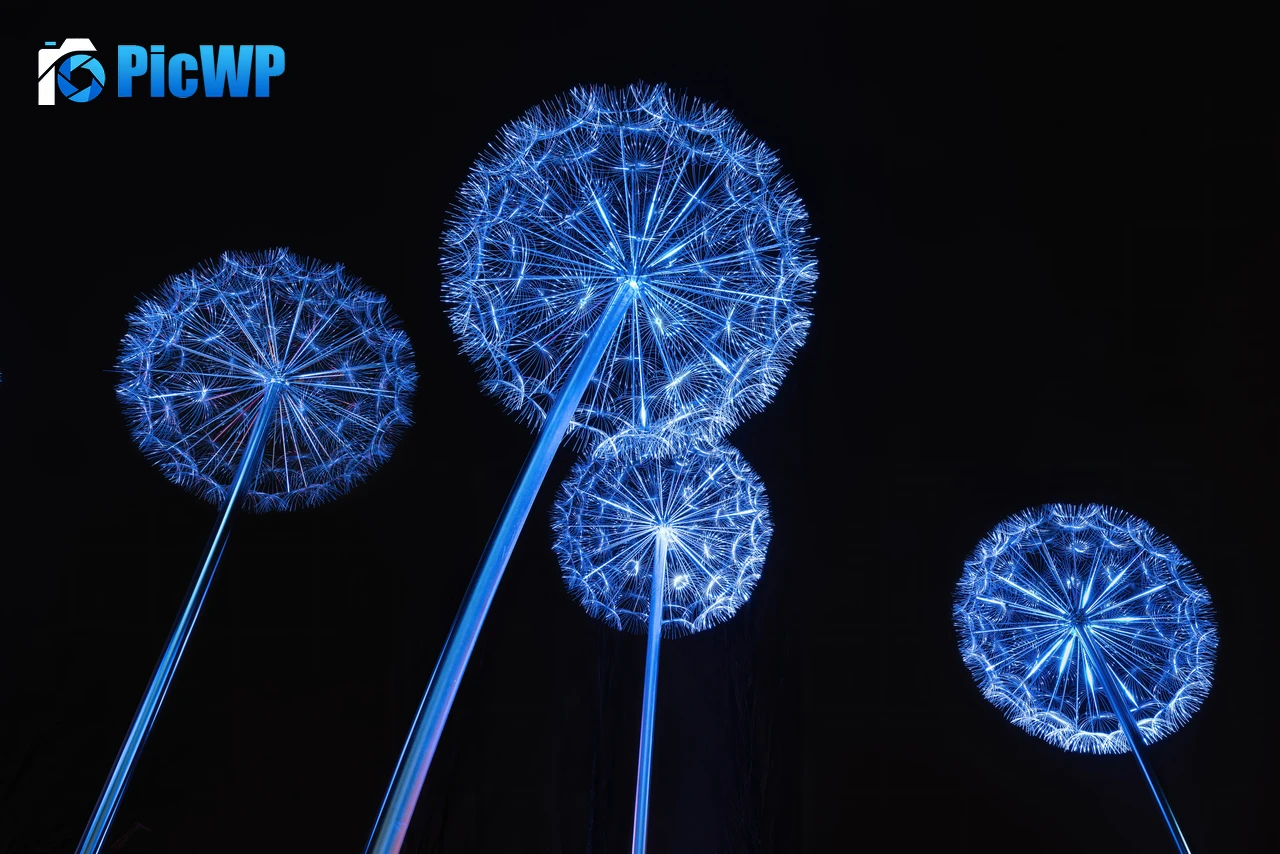 Dandelion Lights Dandelion flowers 8K PC Wallpaper