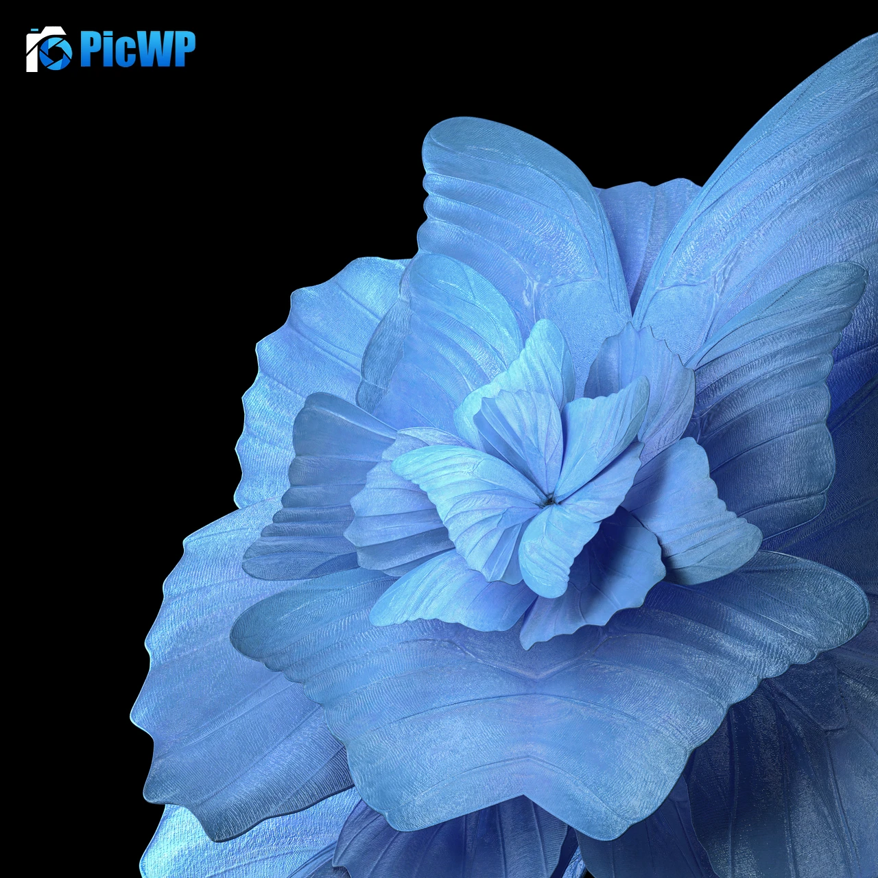 Floral Background Blue background 4K Fold Wallpaper