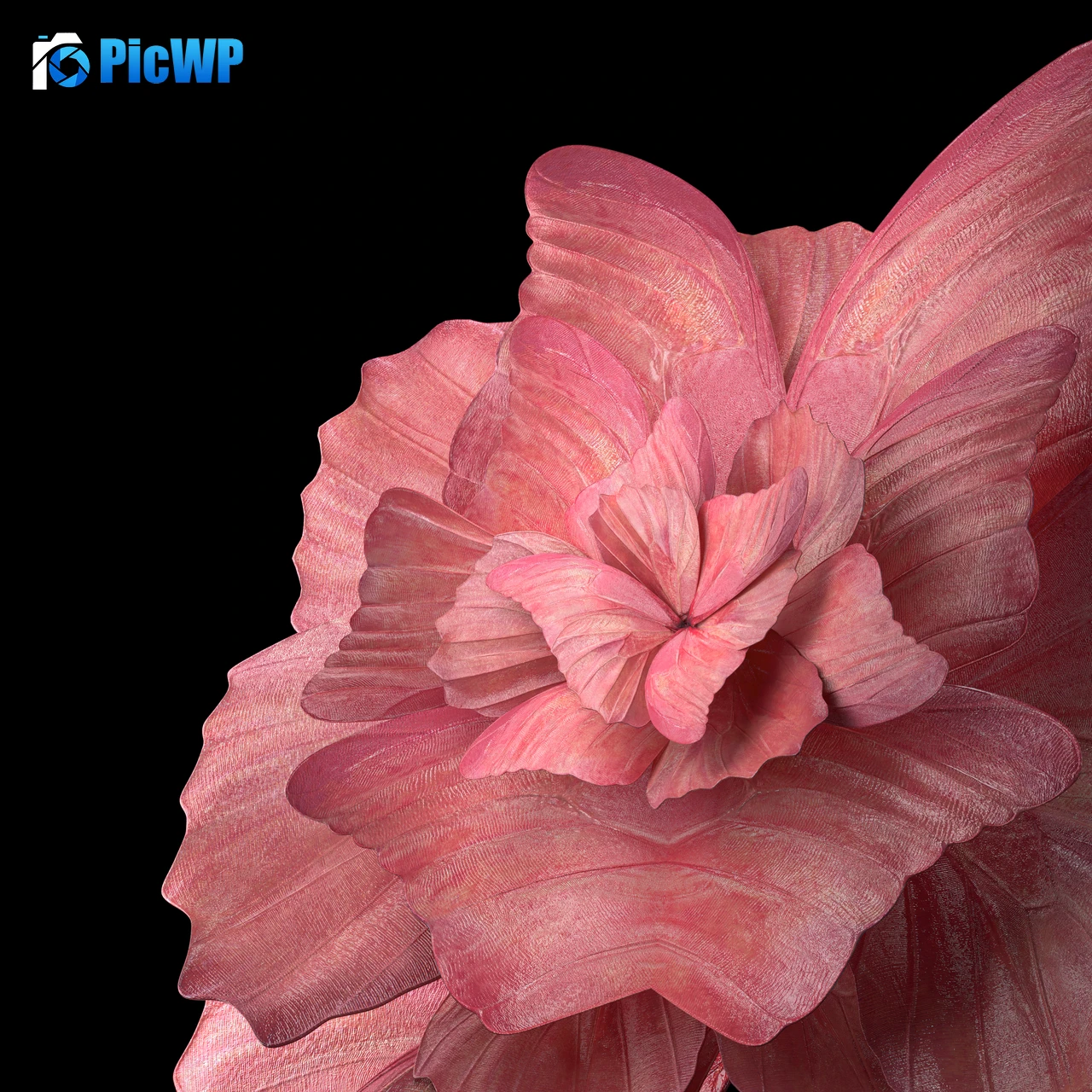 Floral Background Peach background 4K Fold Wallpaper