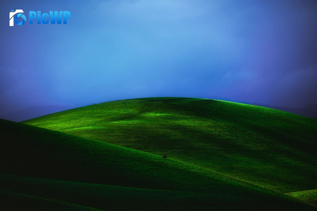 Countryside Green Meadow 6K PC Wallpaper