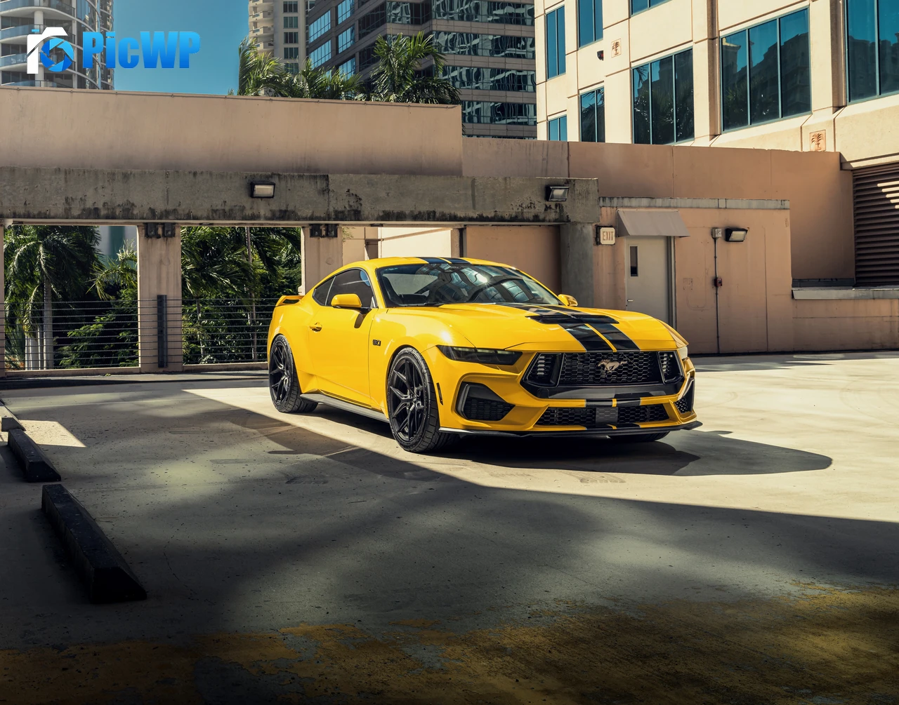 Ford Mustang GT American muscle car 8K PC Wallpaper