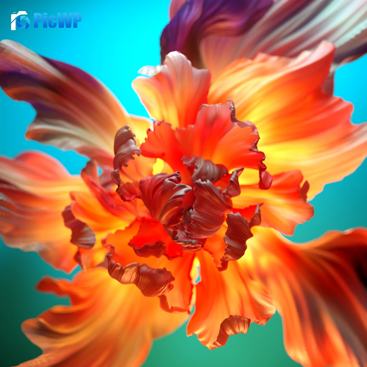 Orange flower Floral Background 4K Fold Wallpaper