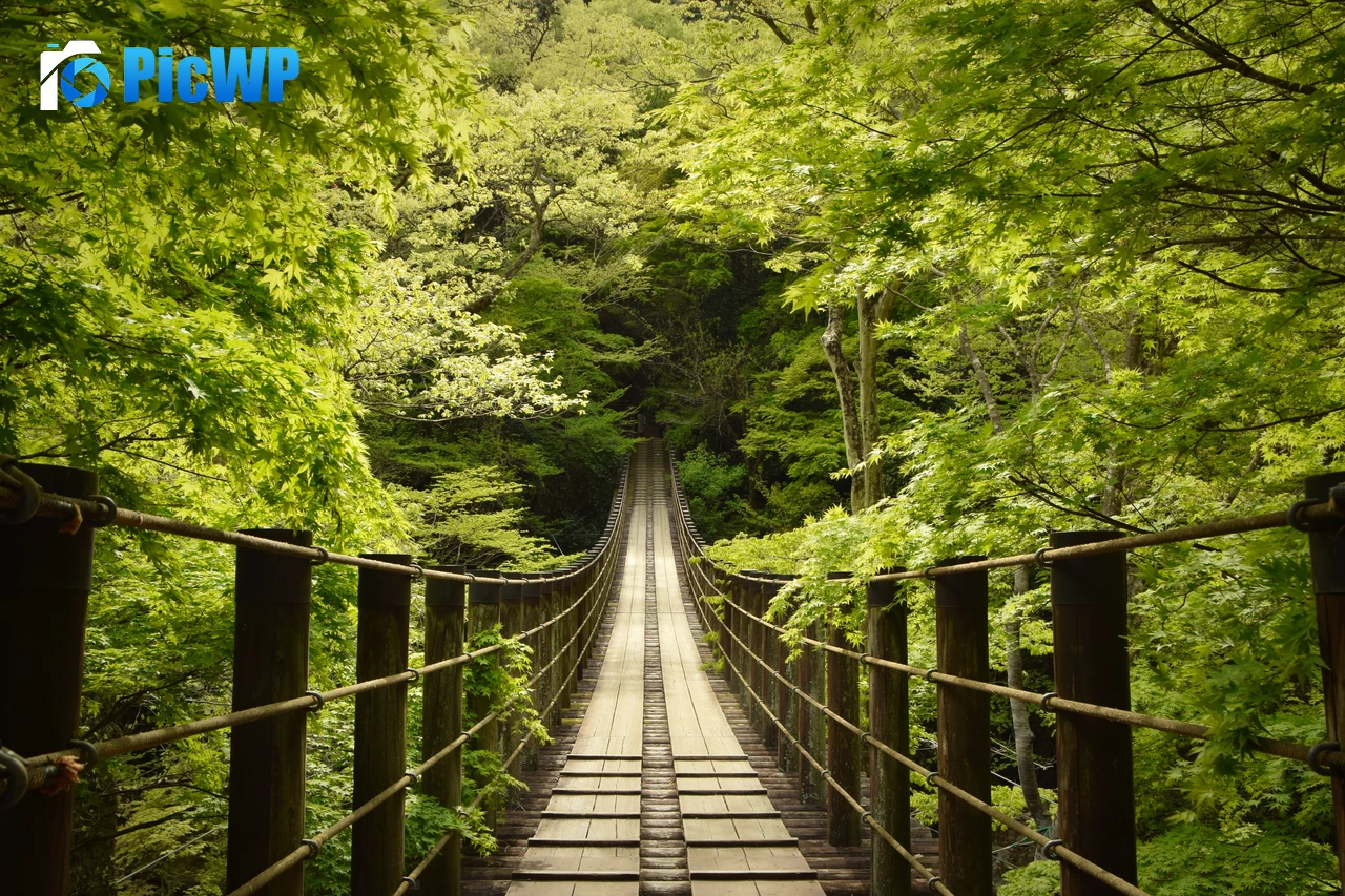 Hananuki Gorge Japan 6K PC Wallpaper