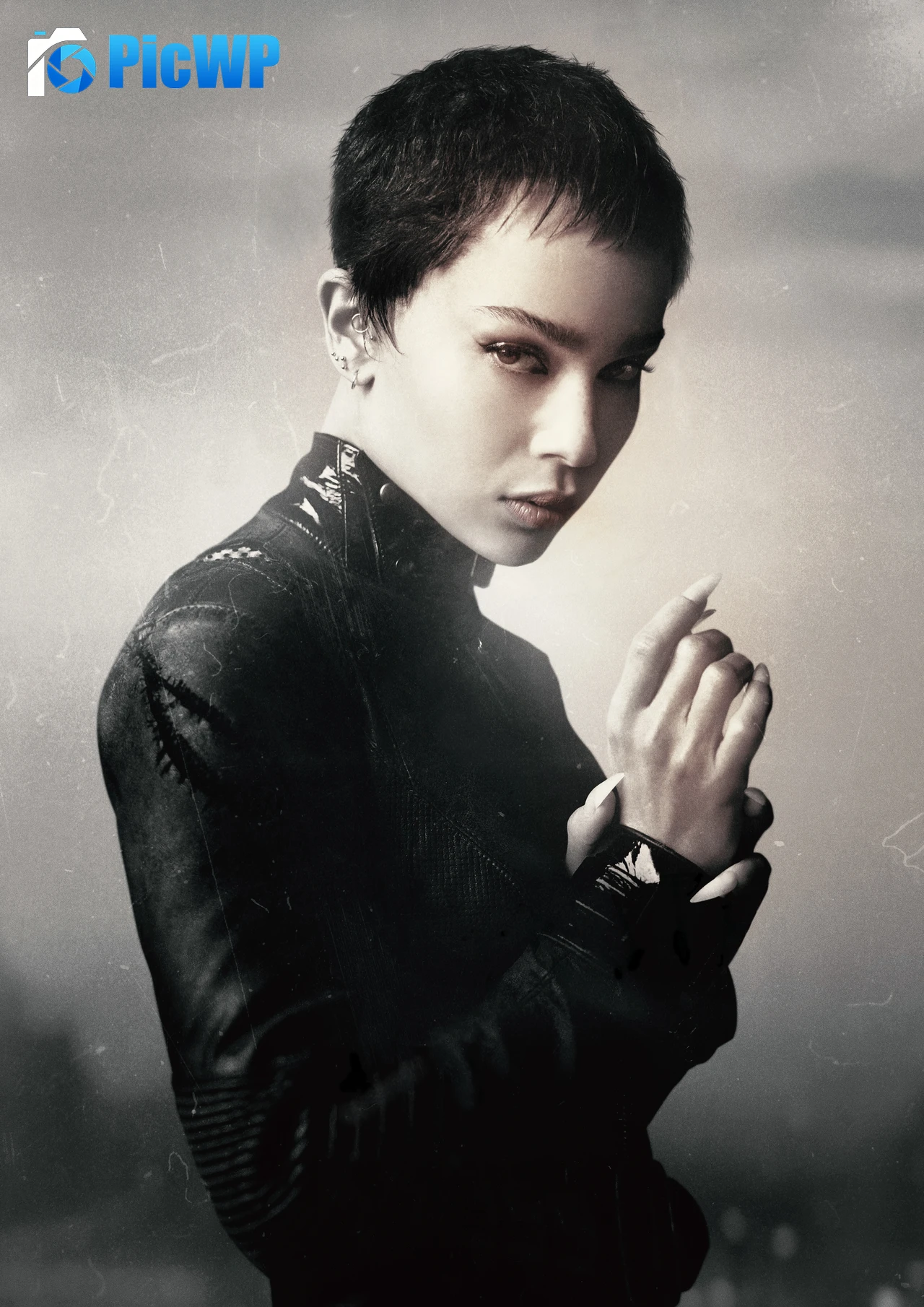 Catwoman Zoe Kravitz 6K Mobile Wallpaper