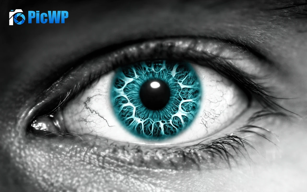 Eye Iris 4K PC Wallpaper
