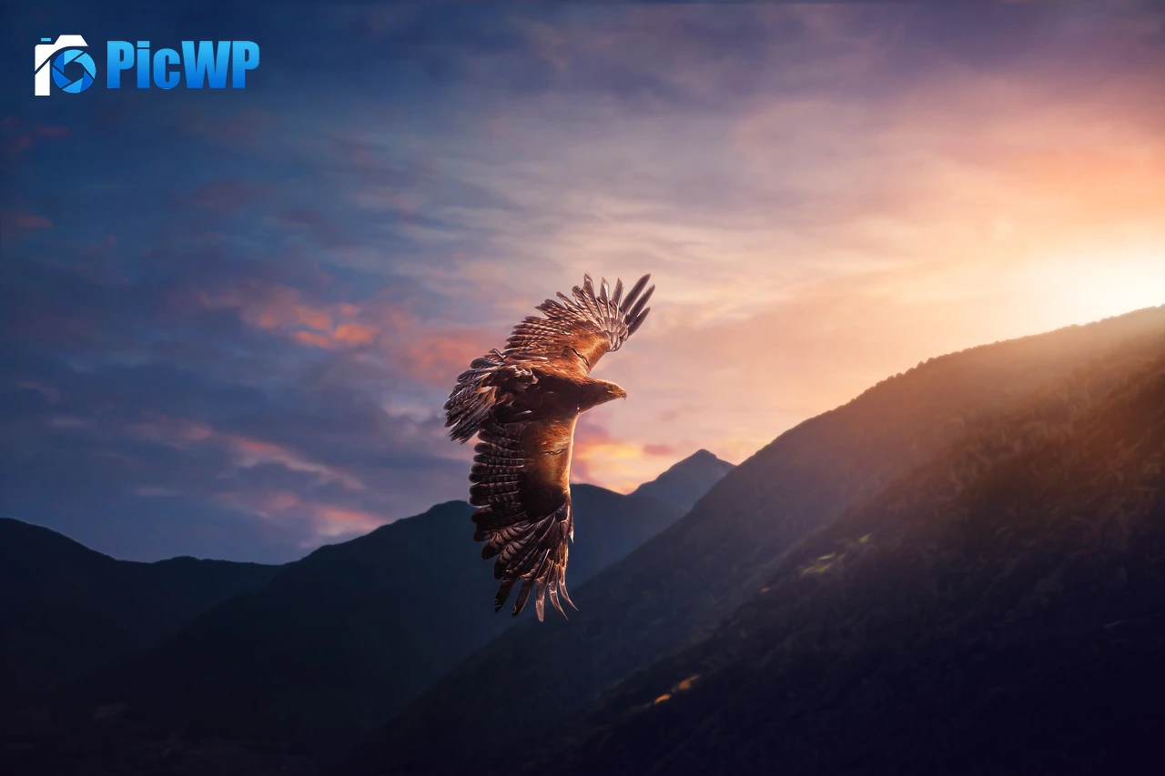 Eagle Sunset 6K PC Wallpaper