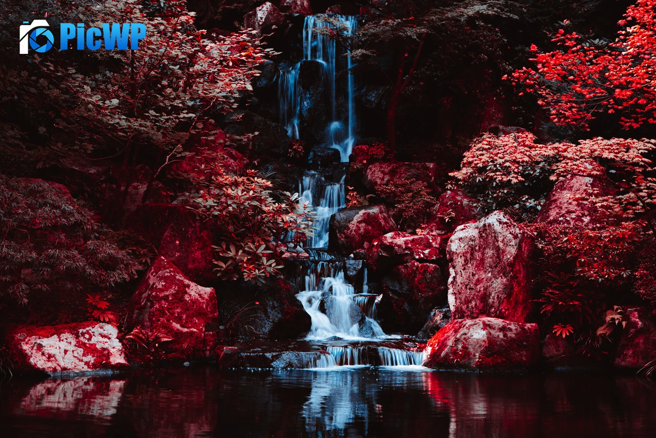 Portland Japanese Gardens Infrared Photography 8K PC Wallpaper