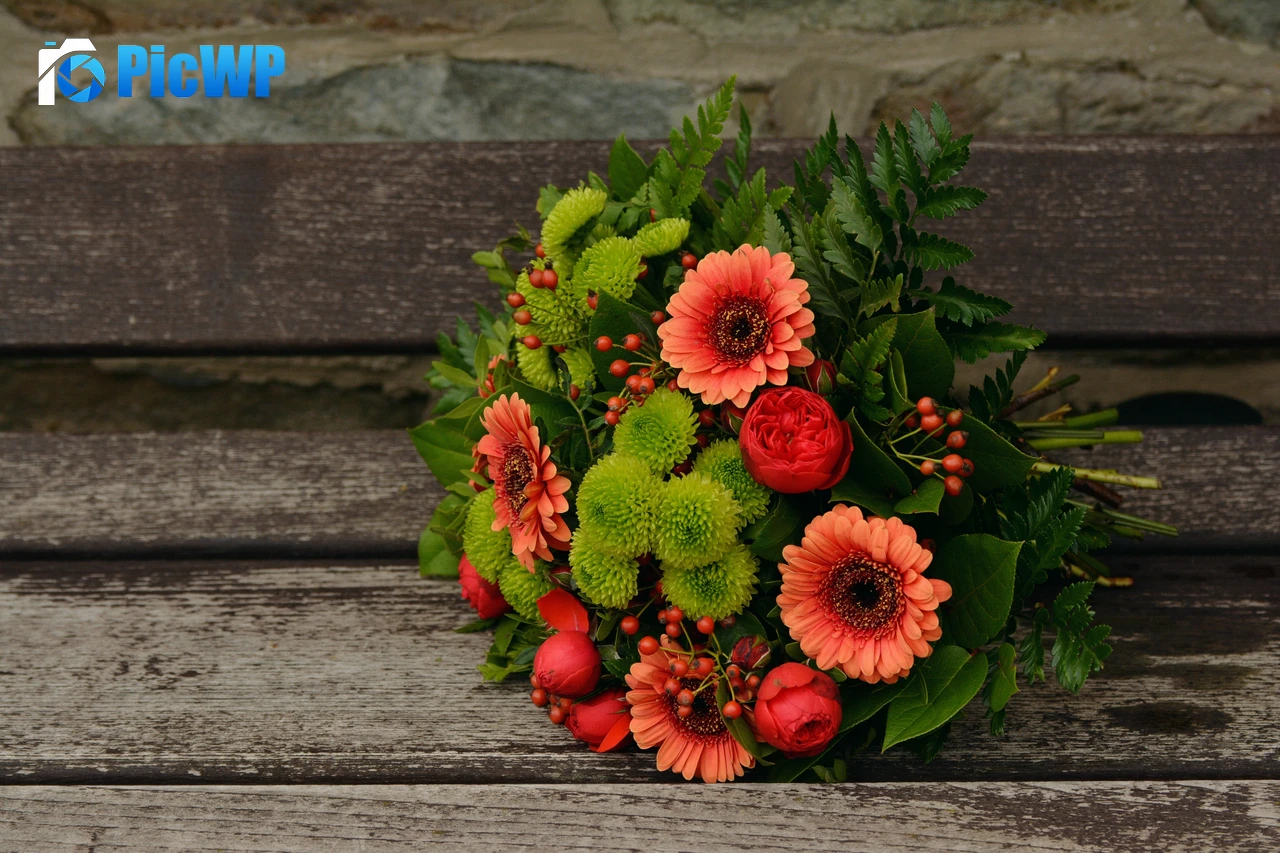 Bunch of Flowers Gerbera Daisy 6K PC Wallpaper