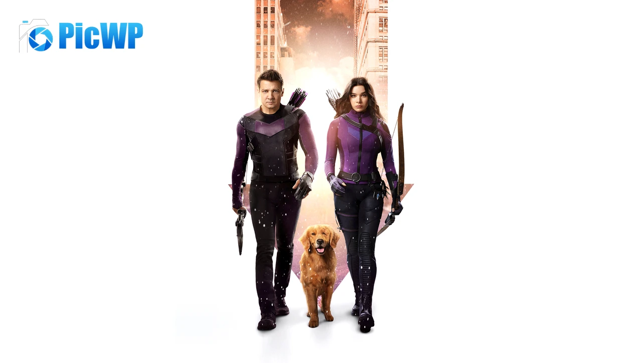 Hawkeye Jeremy Renner 5K PC Wallpaper