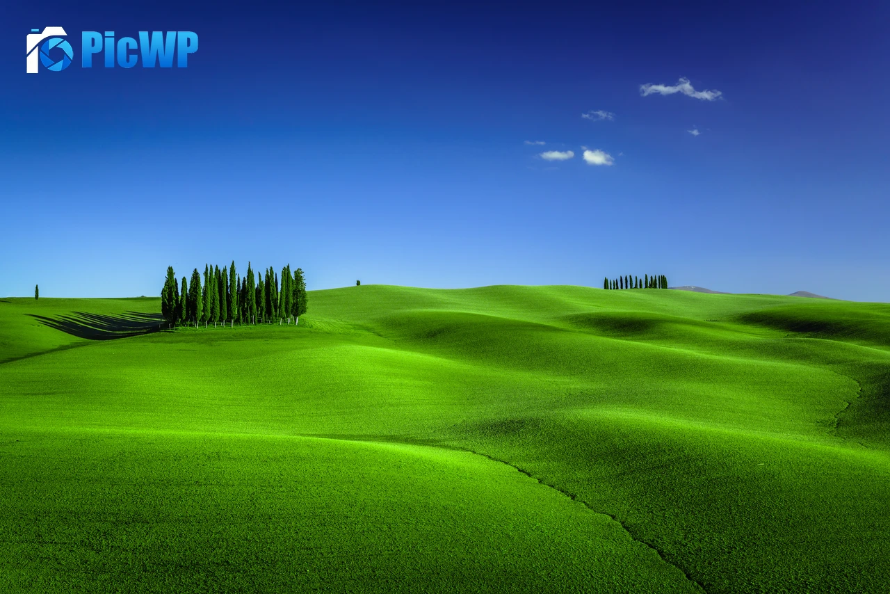 Green Meadow Torrenieri 7K PC Wallpaper