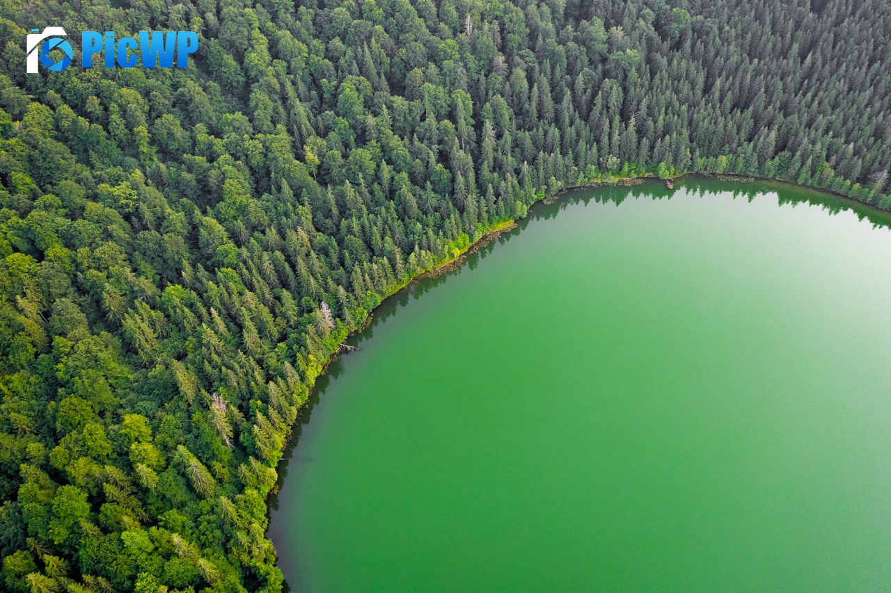 Green Lake Green Trees 4K PC Wallpaper