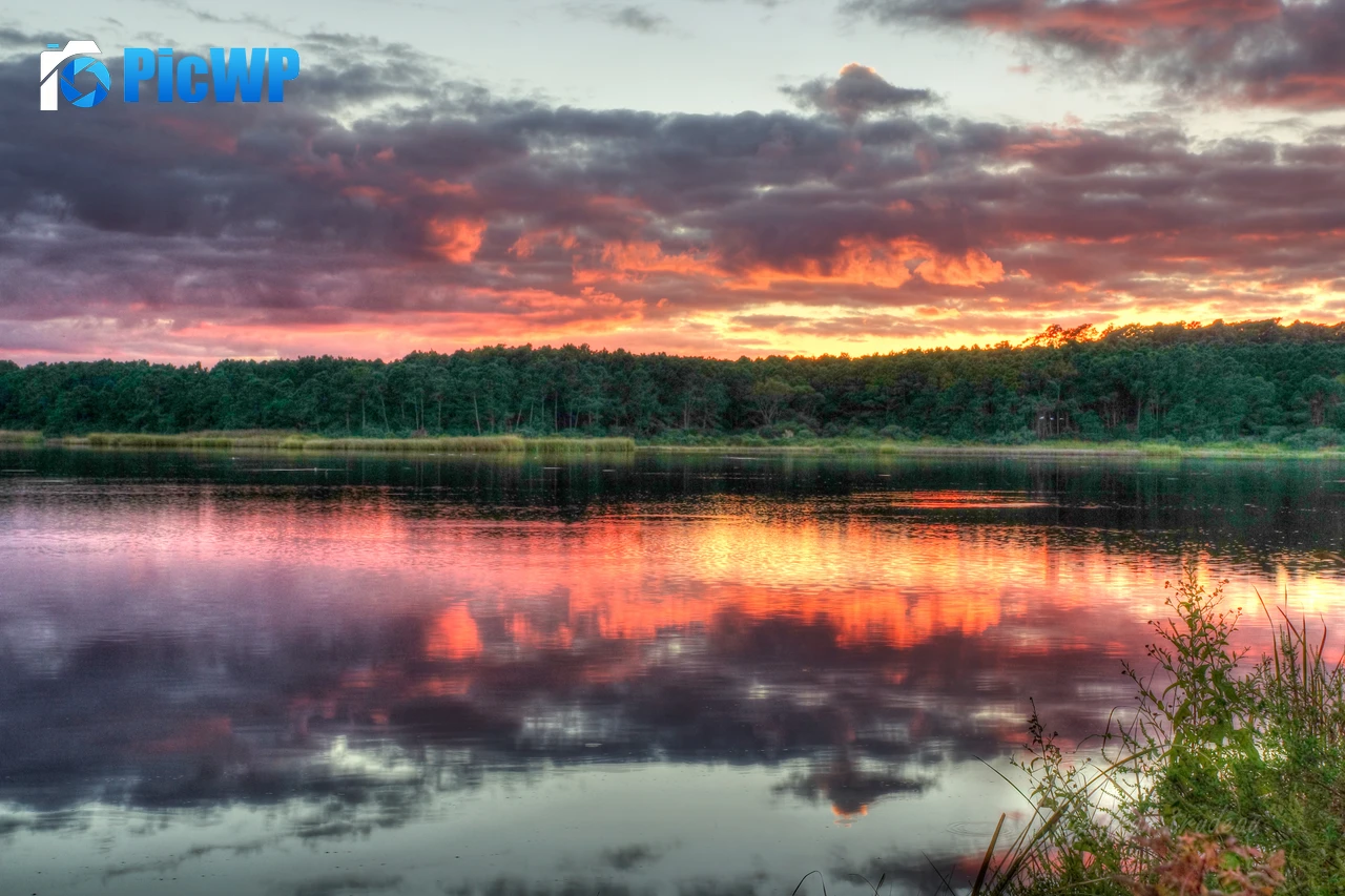 Huntington Beach State Park North Carolina 6K PC Wallpaper
