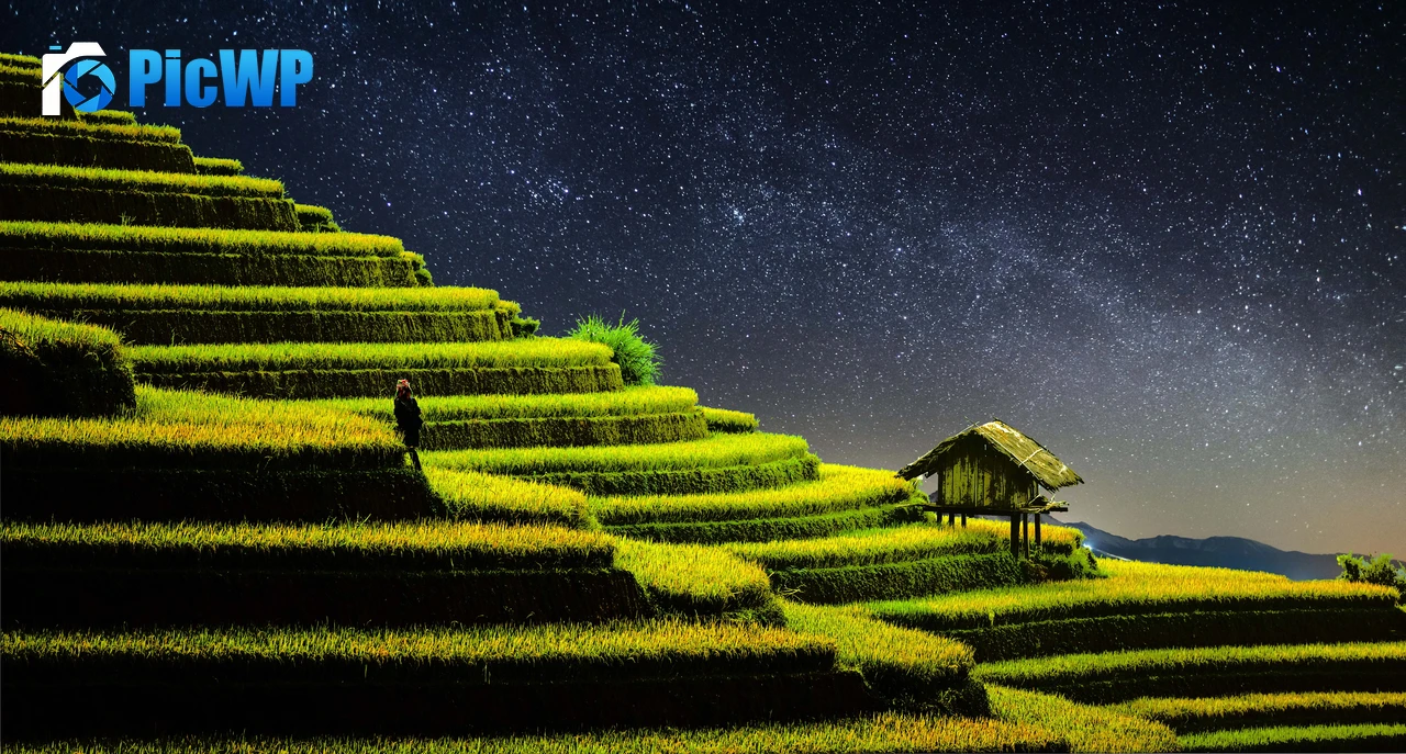 Terrace farming Rice fields 8K PC Wallpaper