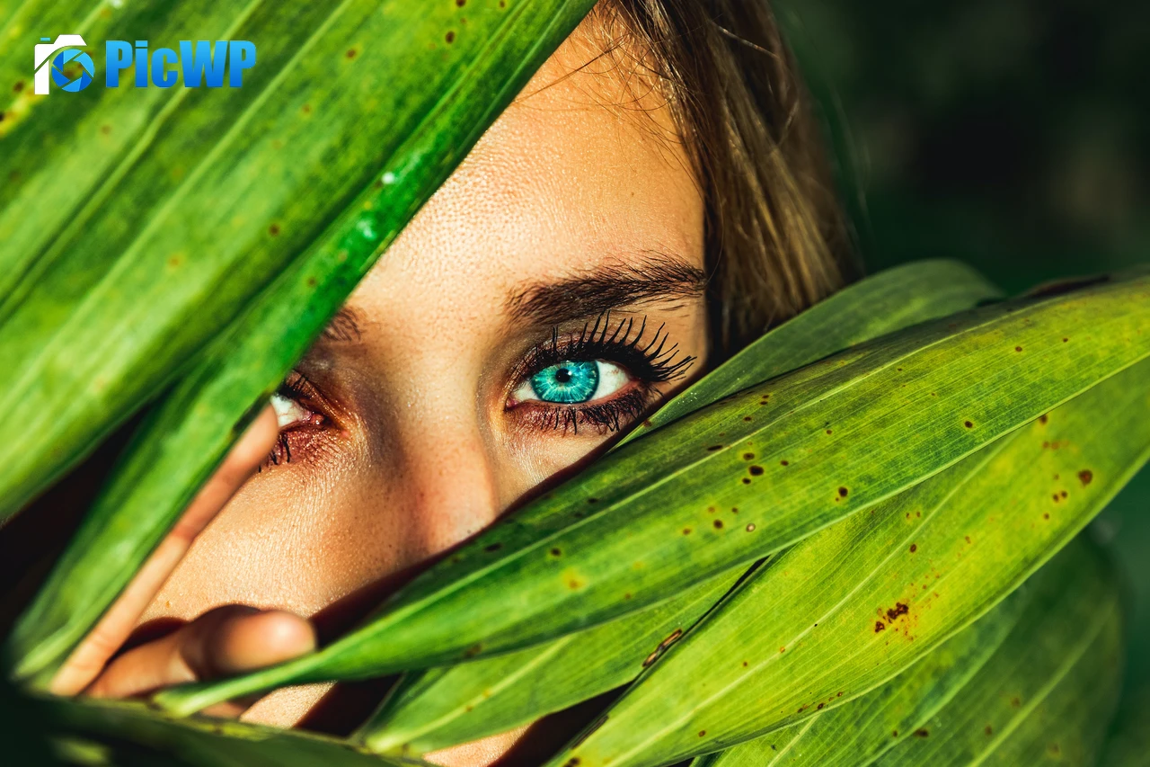 Blue eyes Green leaves 6K PC Wallpaper