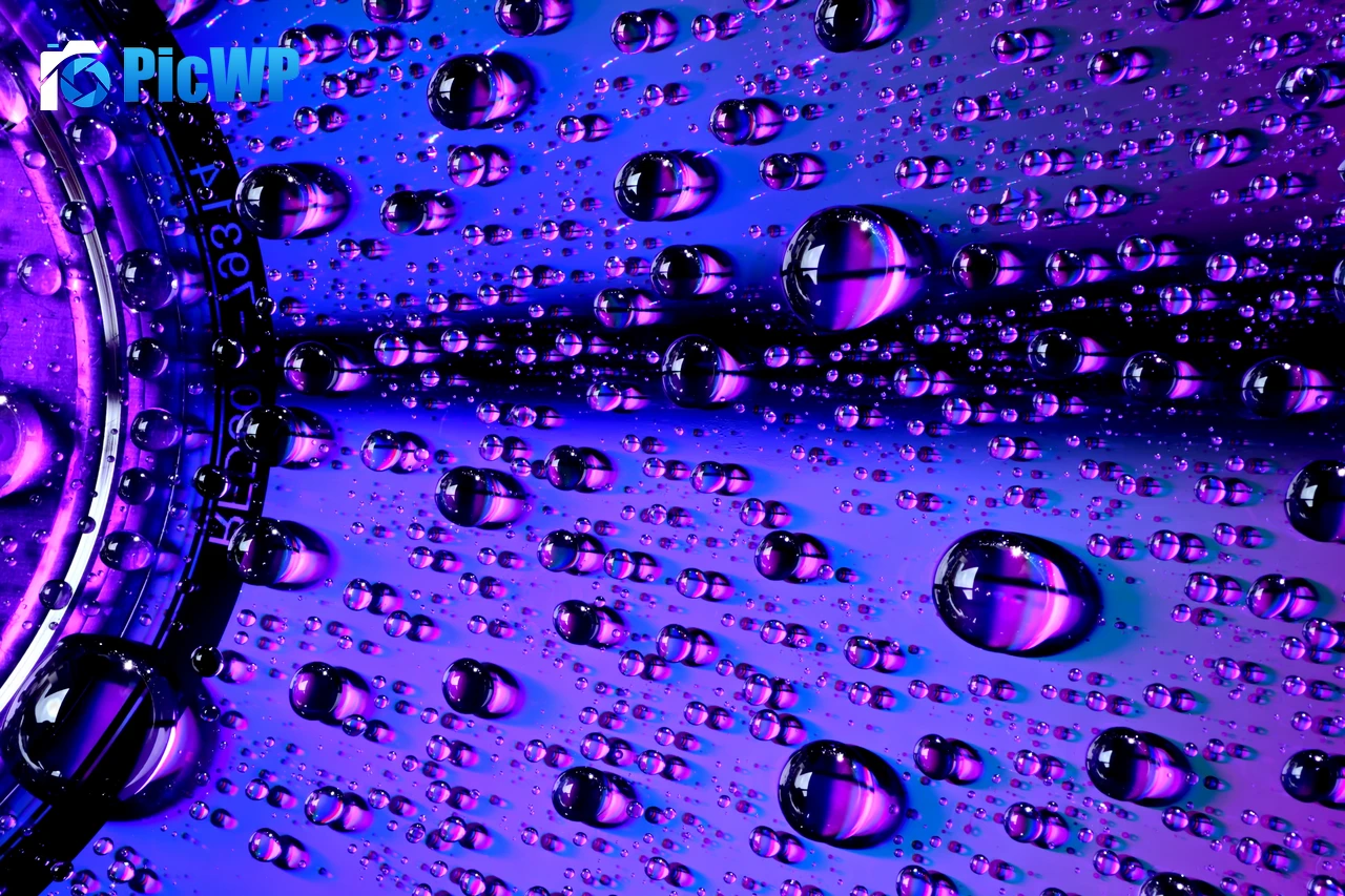 Water droplets Macro 6K PC Wallpaper