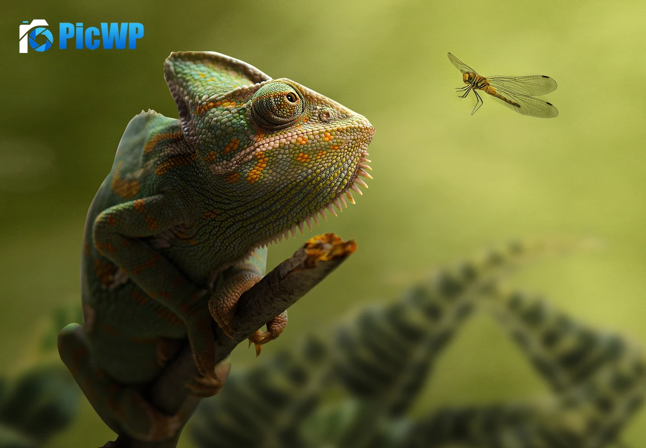 Chameleon Dragonfly 4K PC Wallpaper