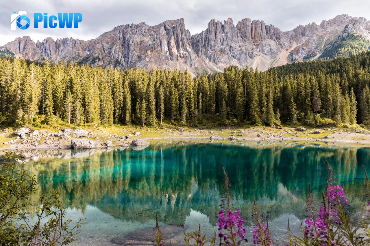 Lake Carezza Italy 6K PC Wallpaper