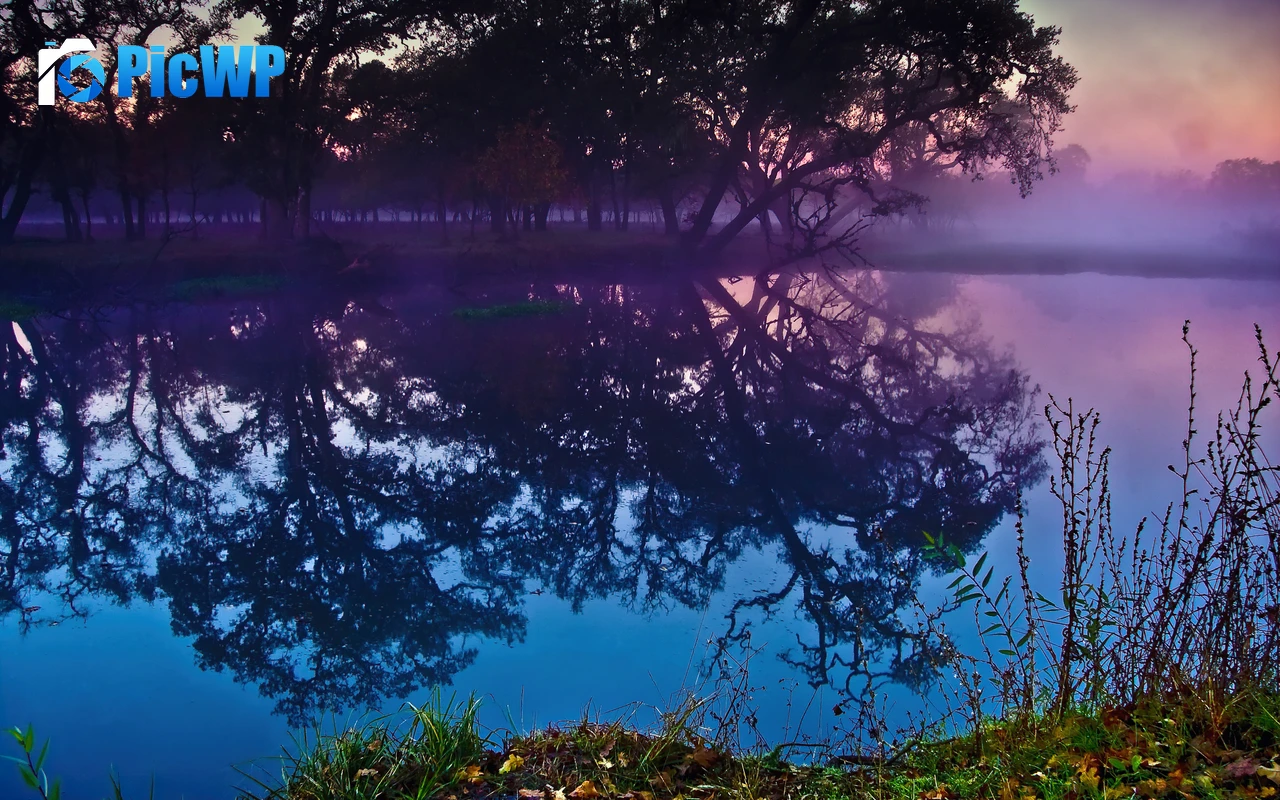 Laguna de Santa Rosa Trees 4K PC Wallpaper