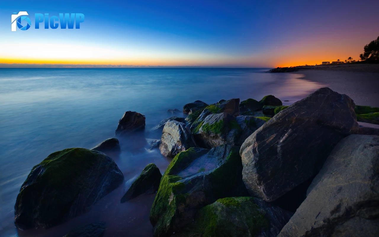 Palm Beach Tropical beach 4K PC Wallpaper