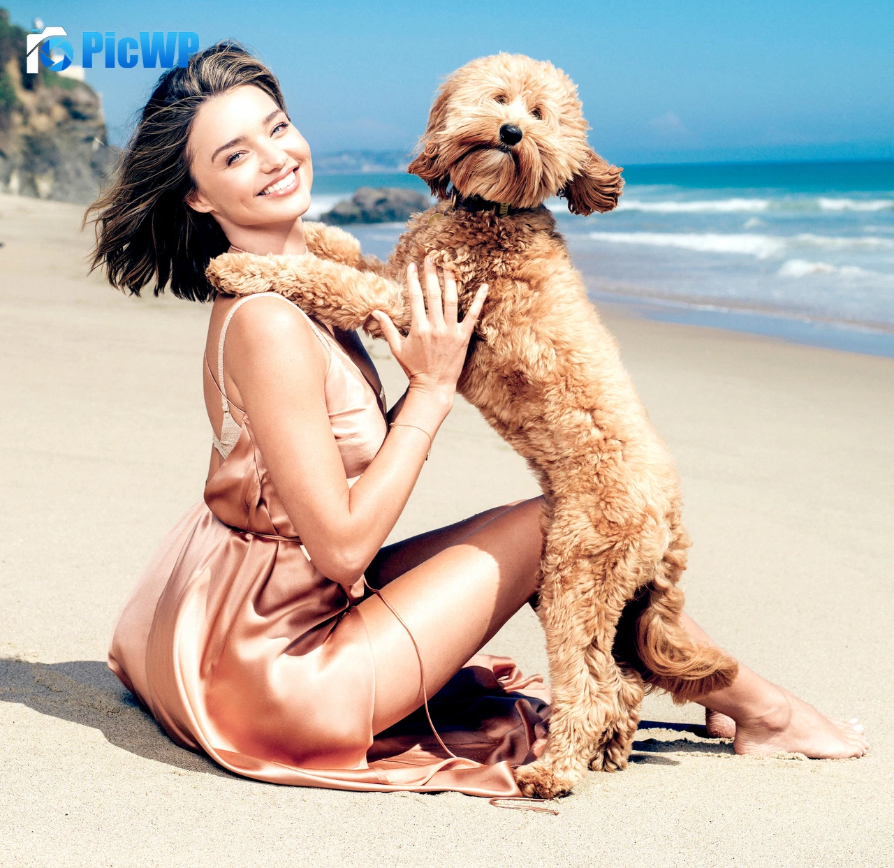 Miranda Kerr Pet dog 6K PC Wallpaper