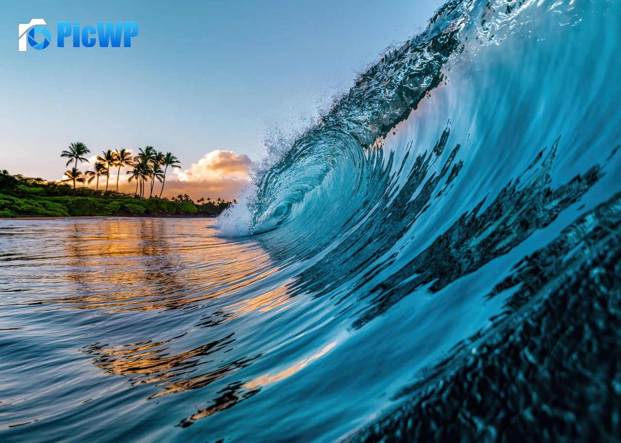 Ocean Waves Palm trees 4K PC Wallpaper