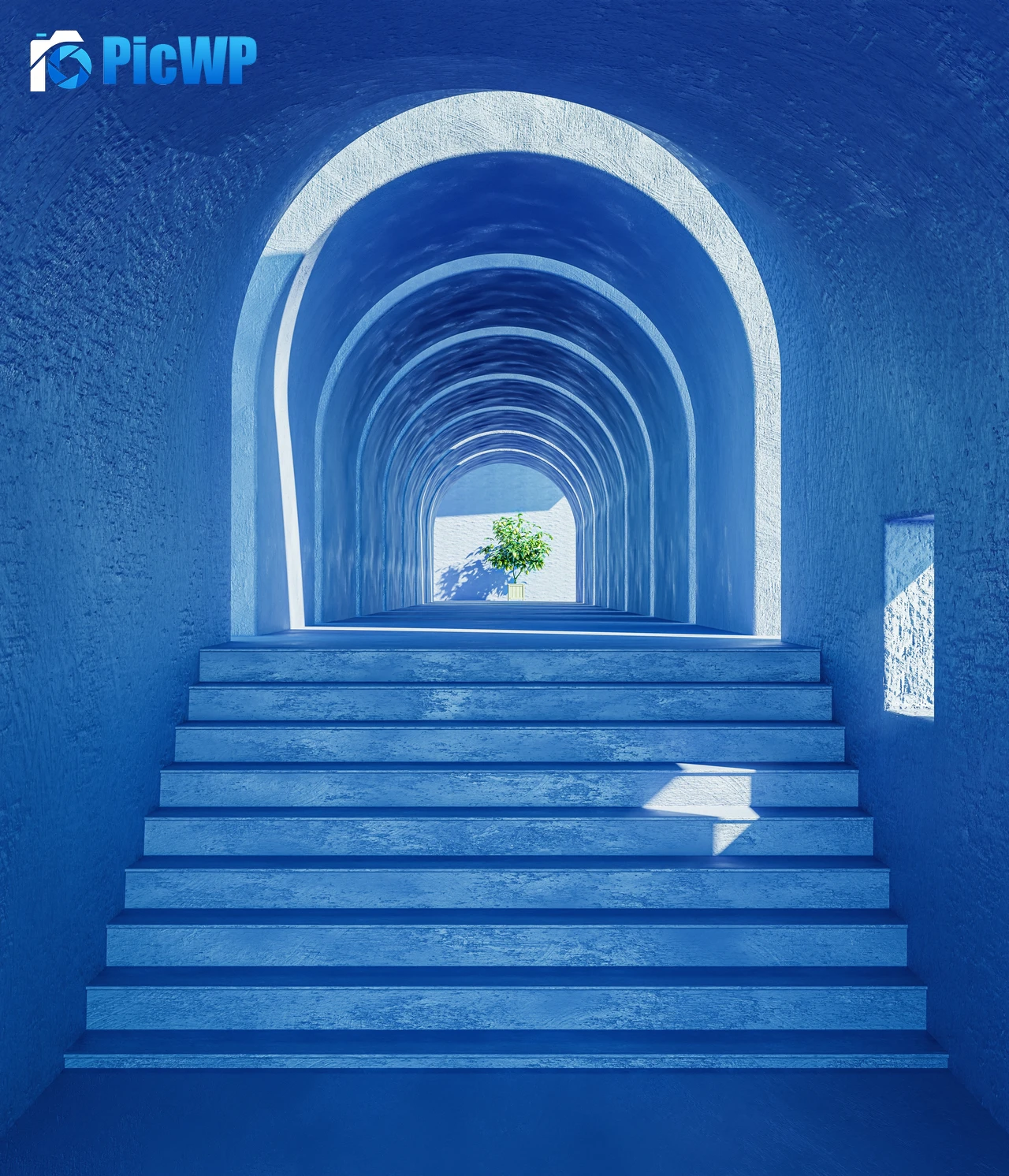 Aesthetic interior Plant 8K Mobile Wallpaper