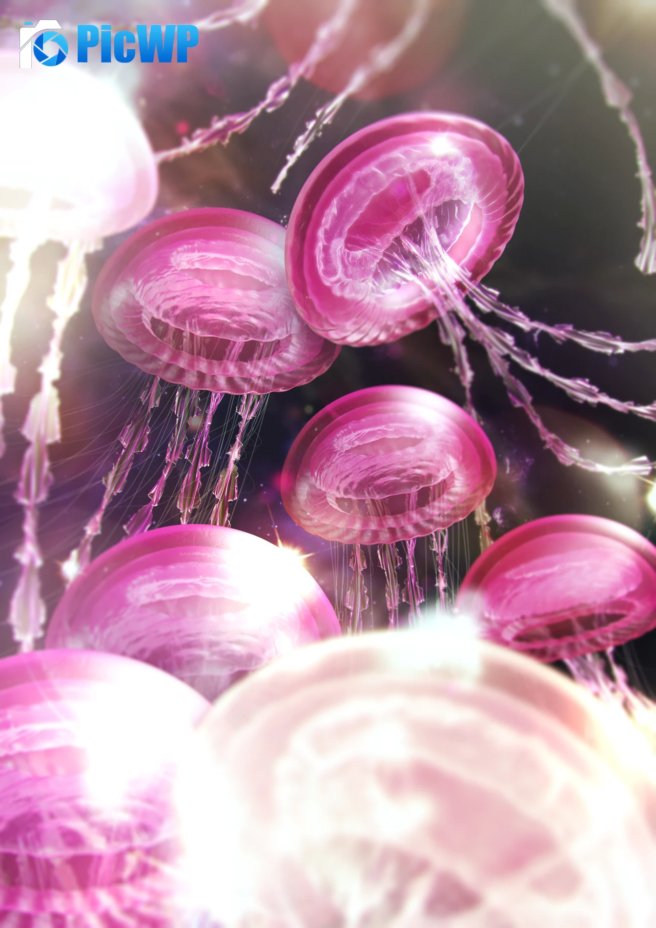 Jellyfishes Pink aesthetic 8K Mobile Wallpaper