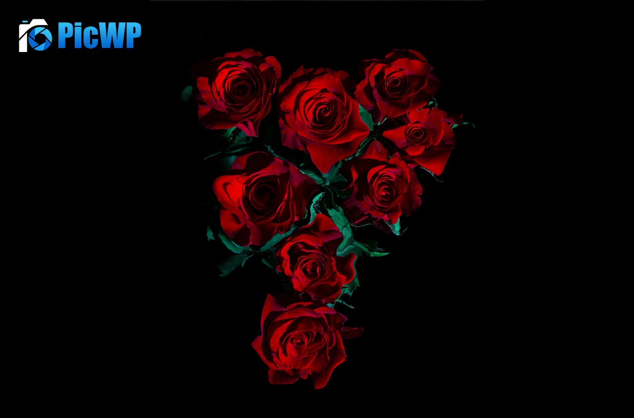 Red Roses AMOLED 8K PC Wallpaper