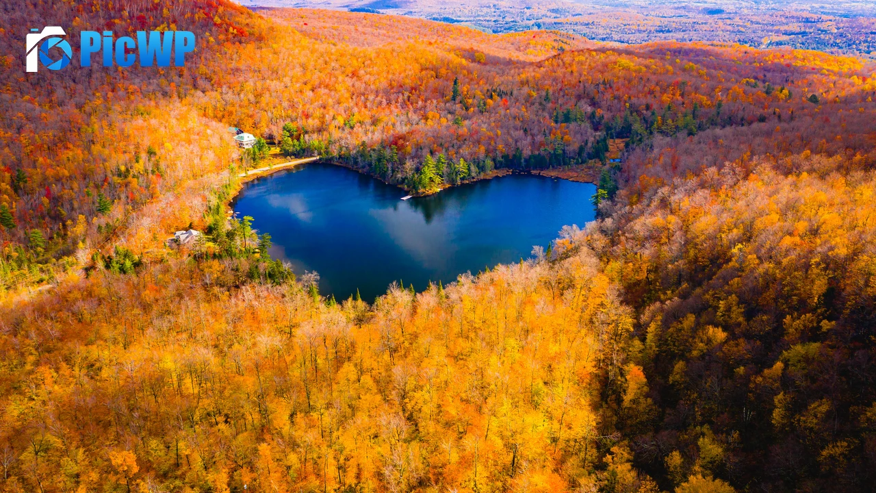 Heart Shaped Lake Autumn Forest 6K PC Wallpaper