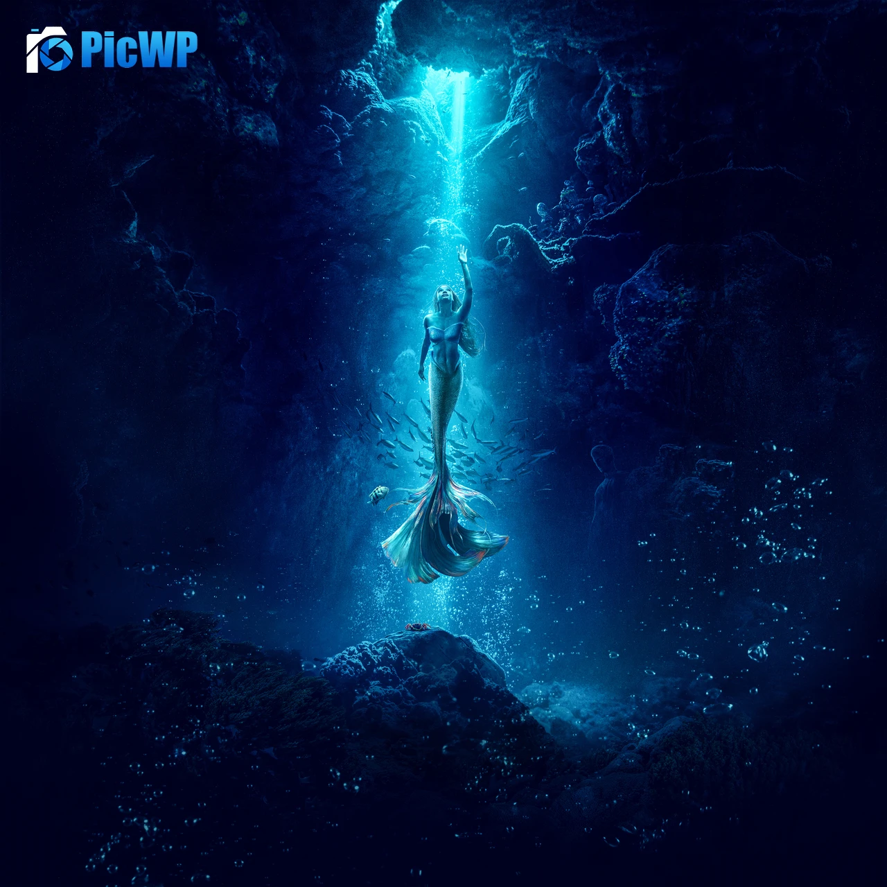 The Little Mermaid 8K Fold Wallpaper