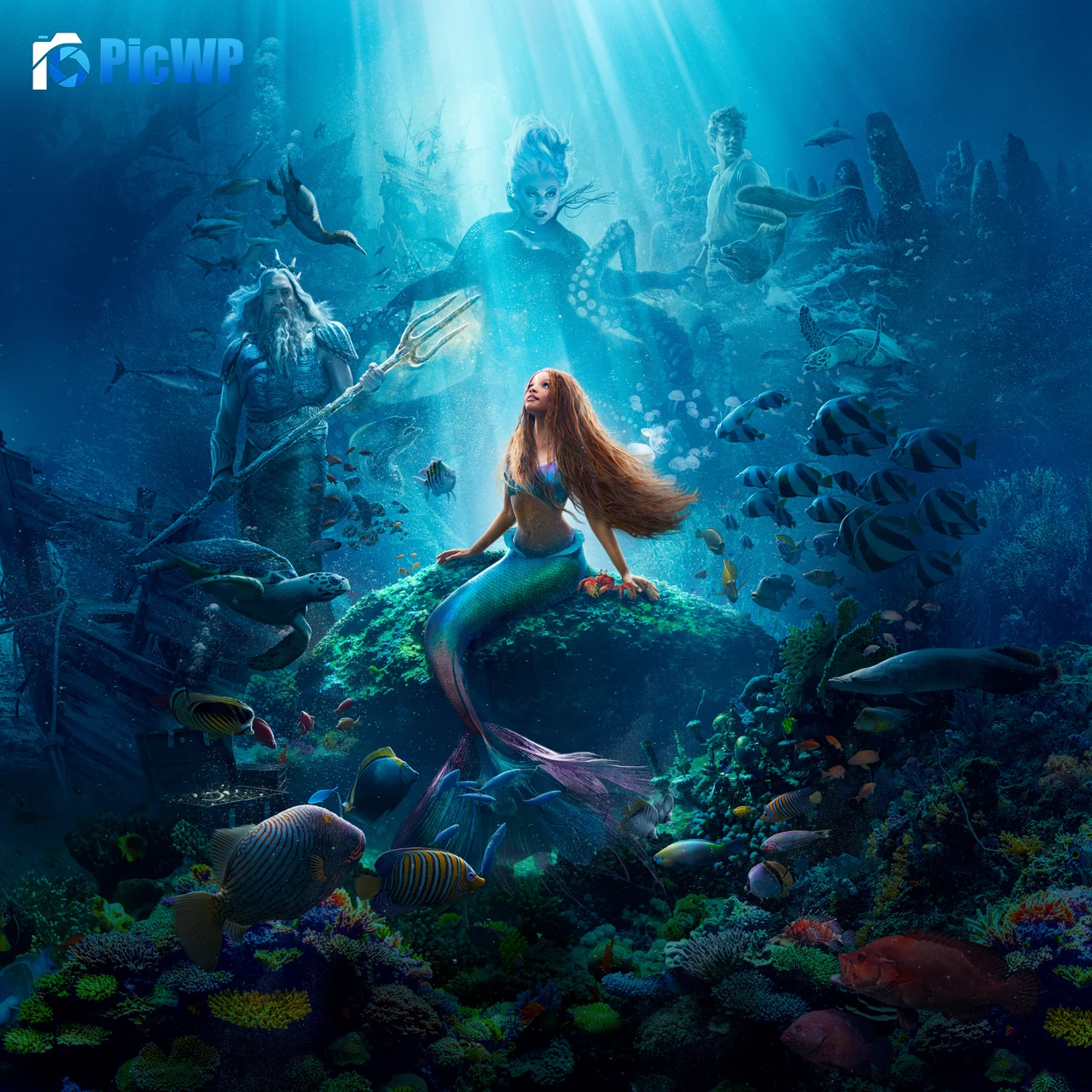 The Little Mermaid Halle Bailey as Ariel 8K Fold Wallpaper