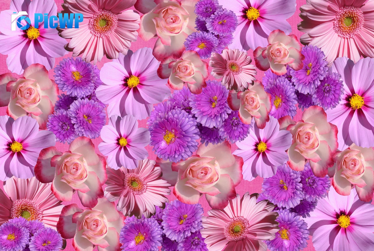 Blossom Purple Flowers 4K PC Wallpaper