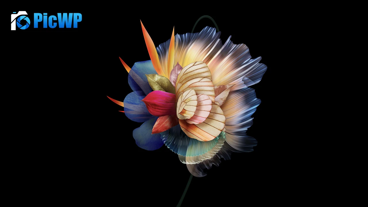 Abstract flower AMOLED 6K PC Wallpaper
