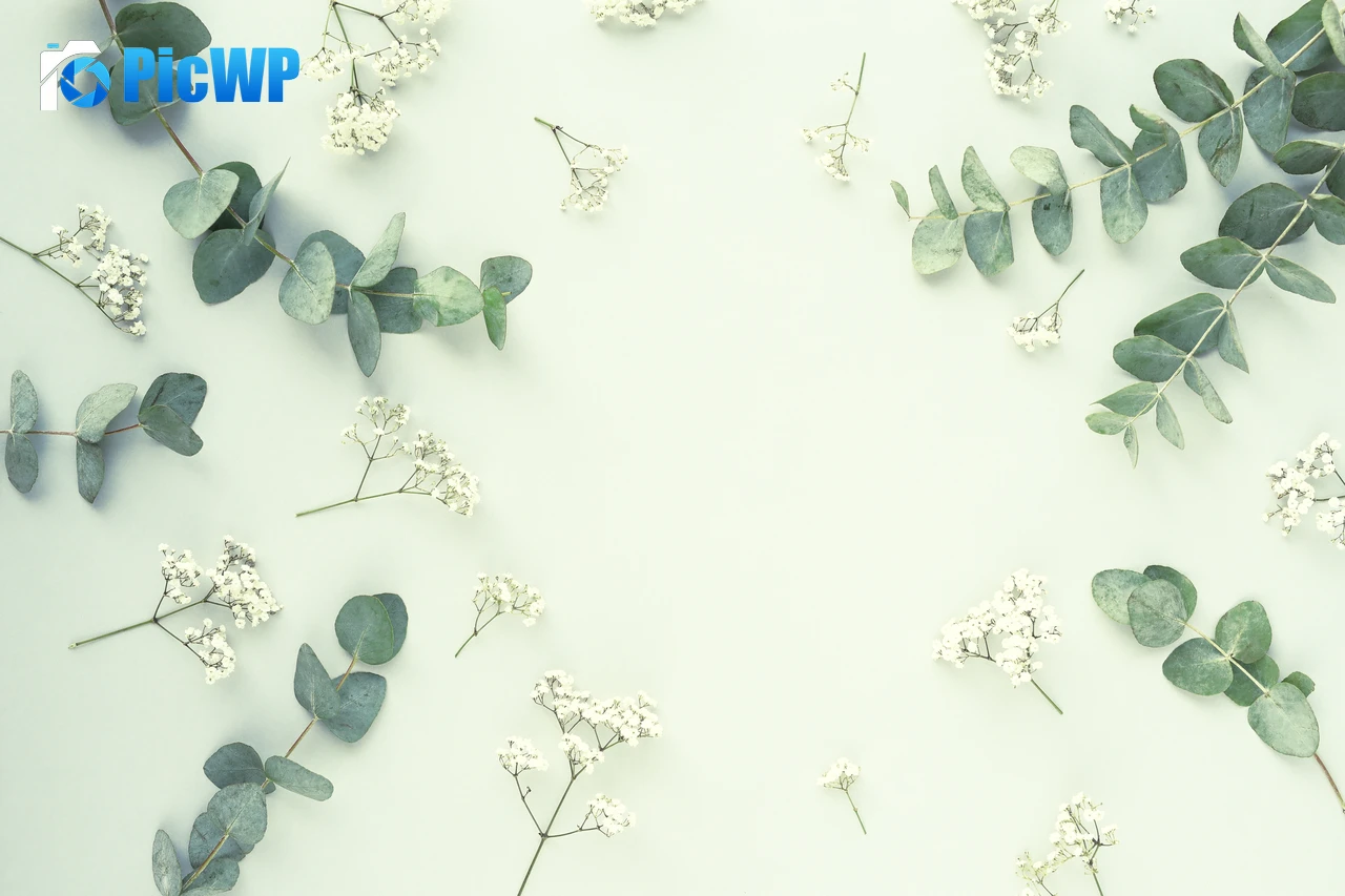 Eucalyptus Leaves 6K PC Wallpaper
