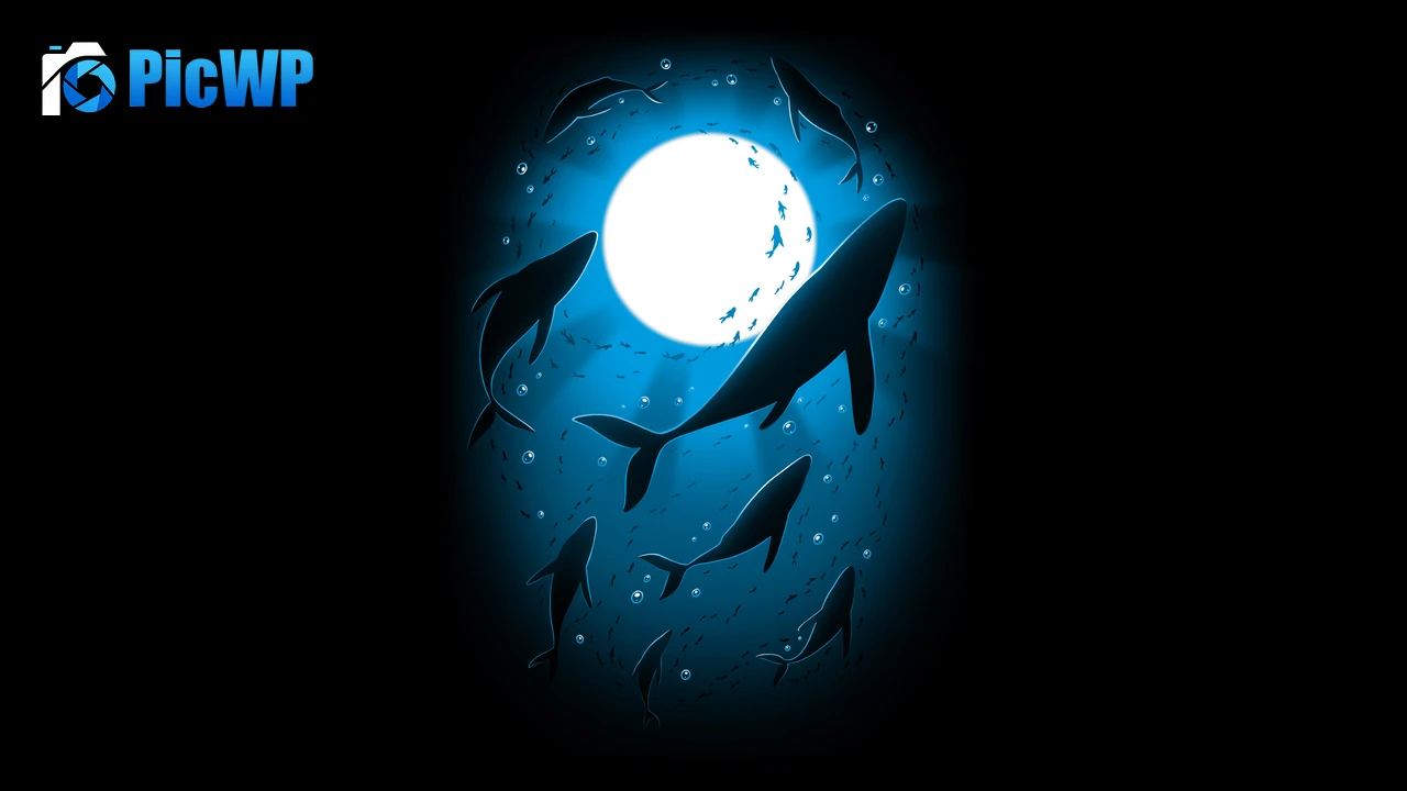 Moonlight Underwater 8K PC Wallpaper