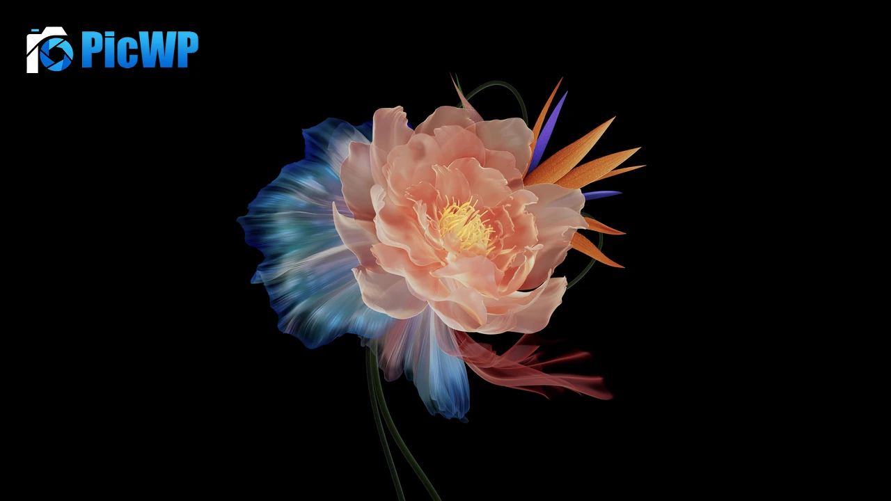 Abstract flower Multicolor 6K PC Wallpaper