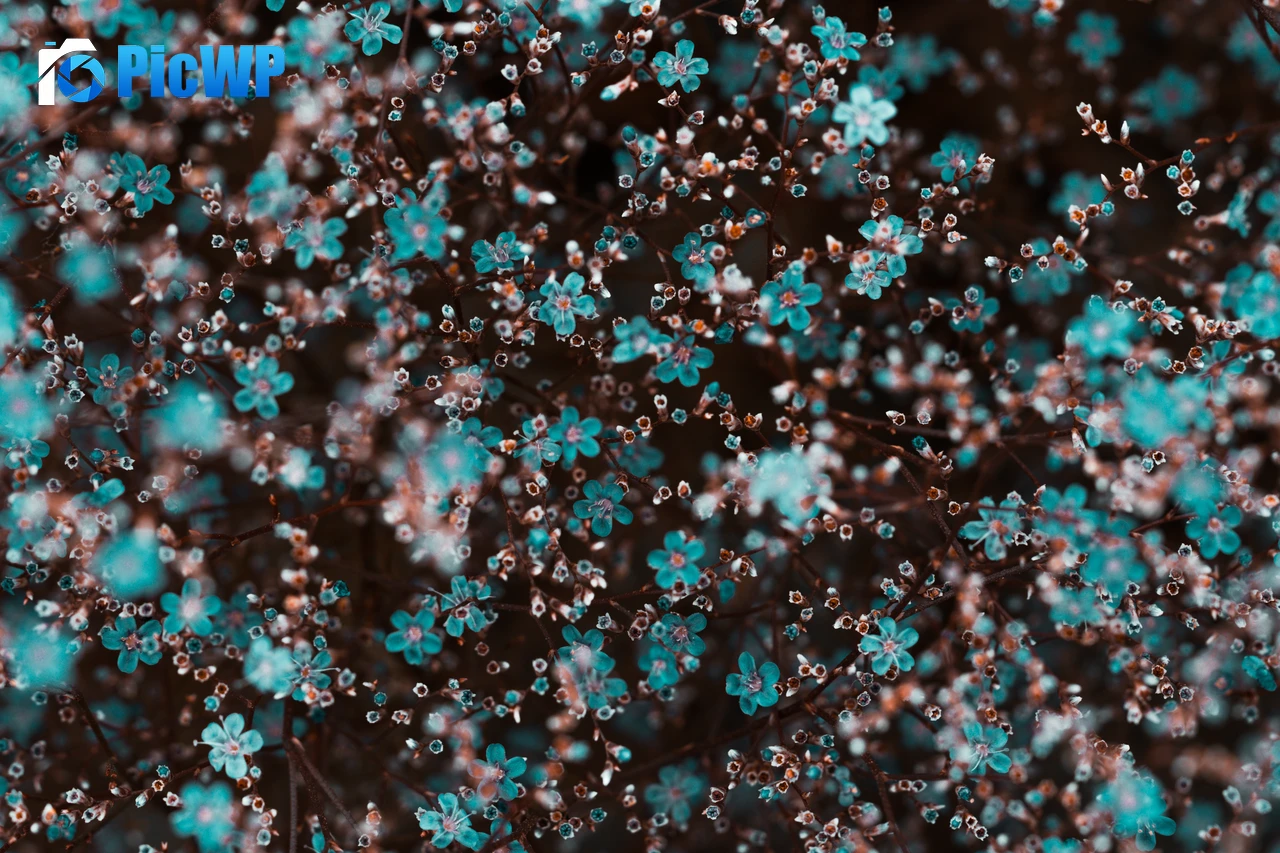 Blue flowers Floral Background 5K PC Wallpaper