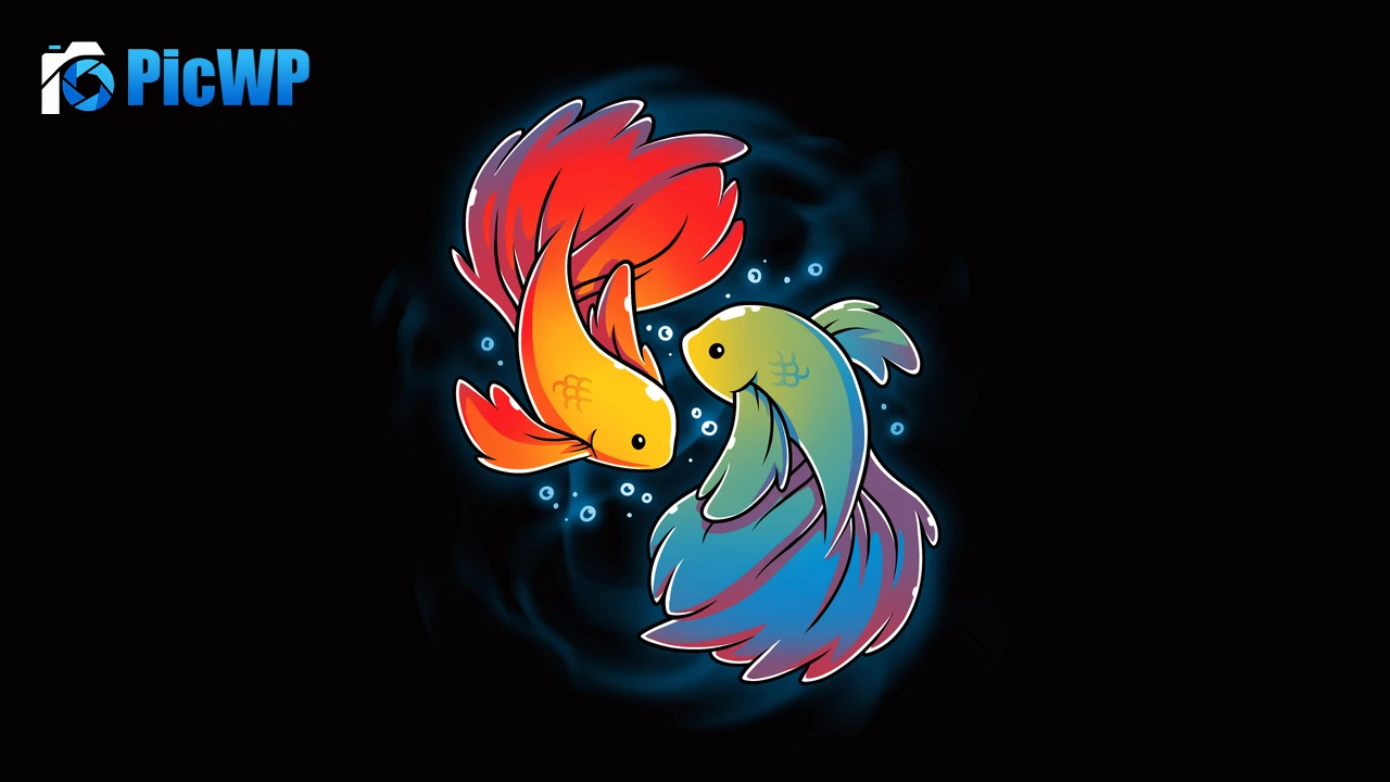 Rainbow Betta Betta fishes 8K PC Wallpaper