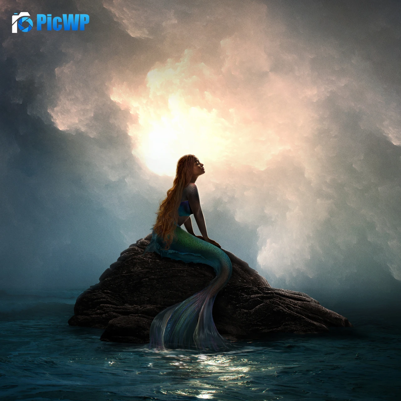 The Little Mermaid 2023 Movies 6K Fold Wallpaper