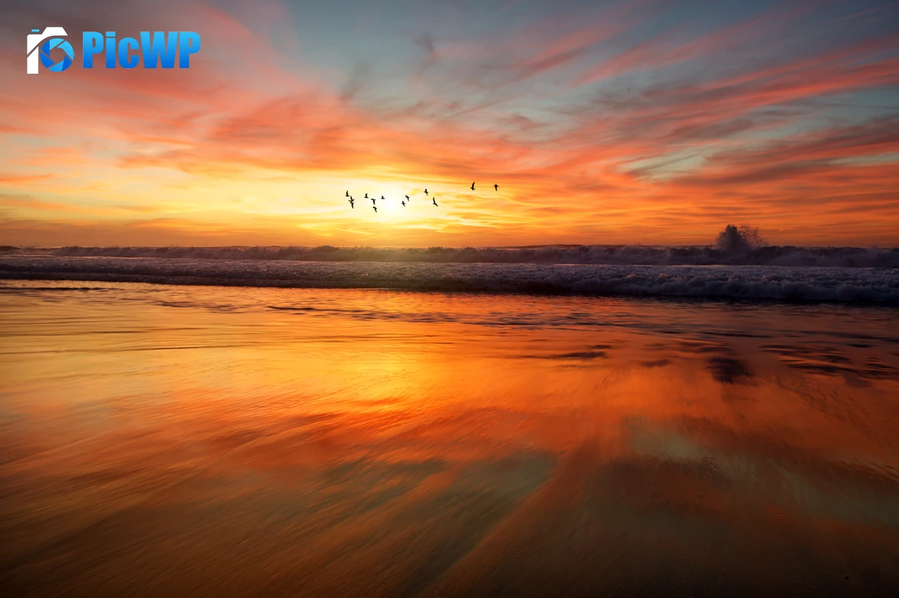 Beach Sunset 6K PC Wallpaper