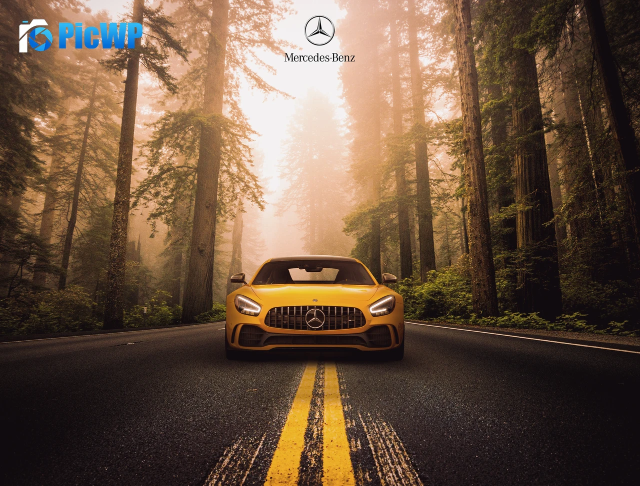 Mercedes-Benz AMG GT R Sports coupe 5K PC Wallpaper