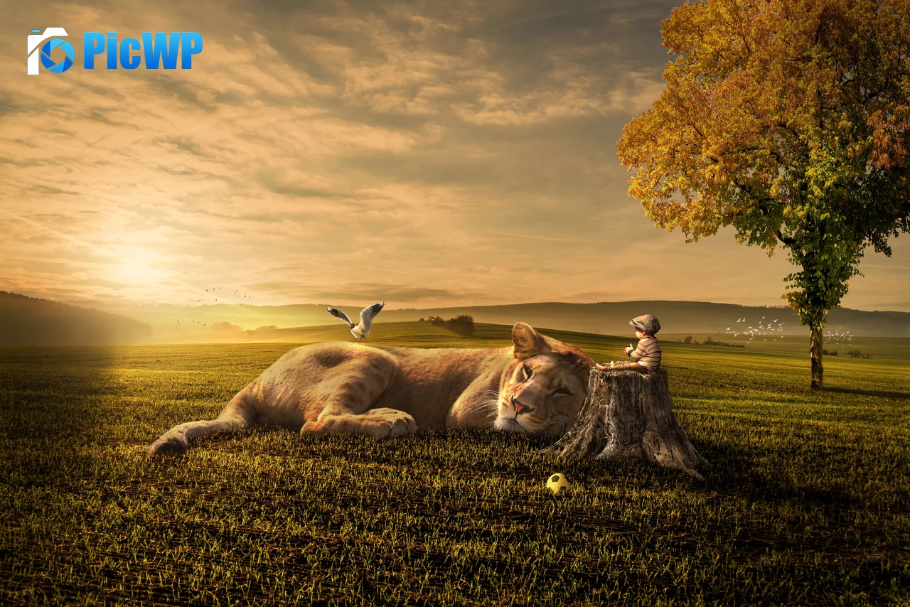 Play Time Cute baby boy 8K PC Wallpaper