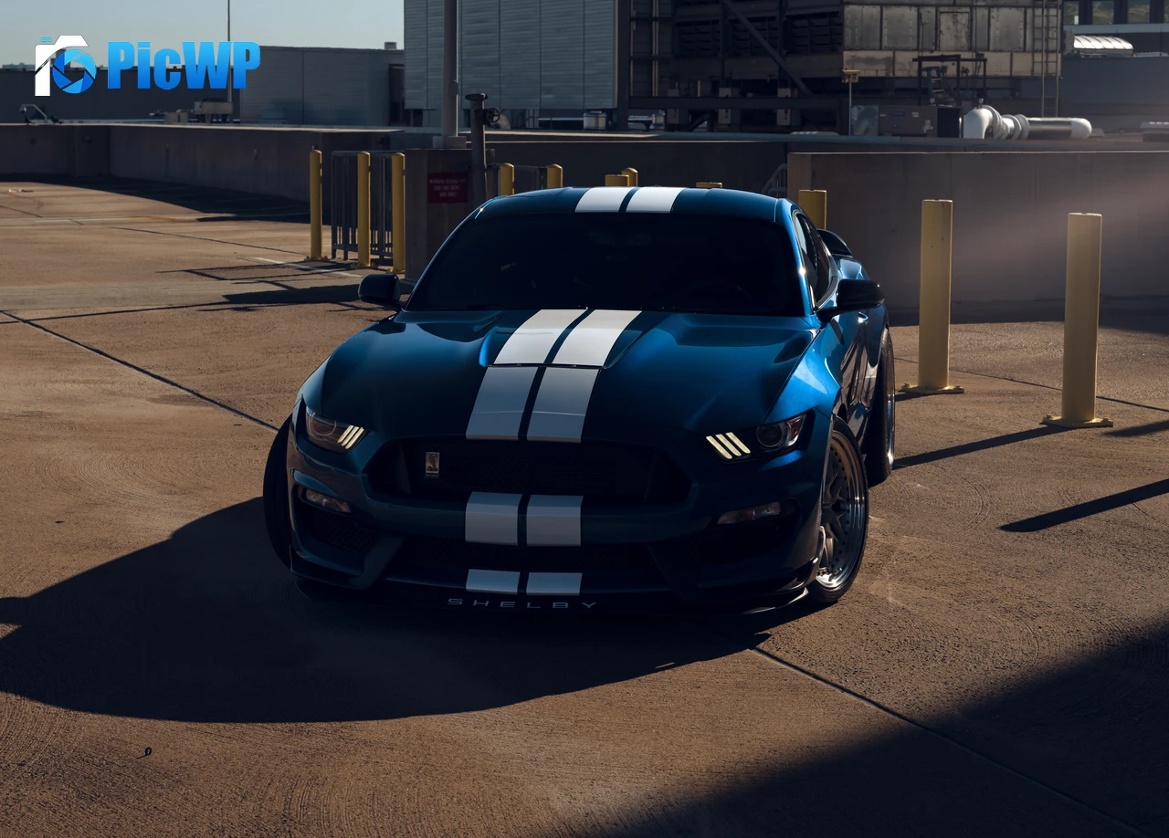 Ford Mustang Shelby GT350 Muscle cars 6K PC Wallpaper