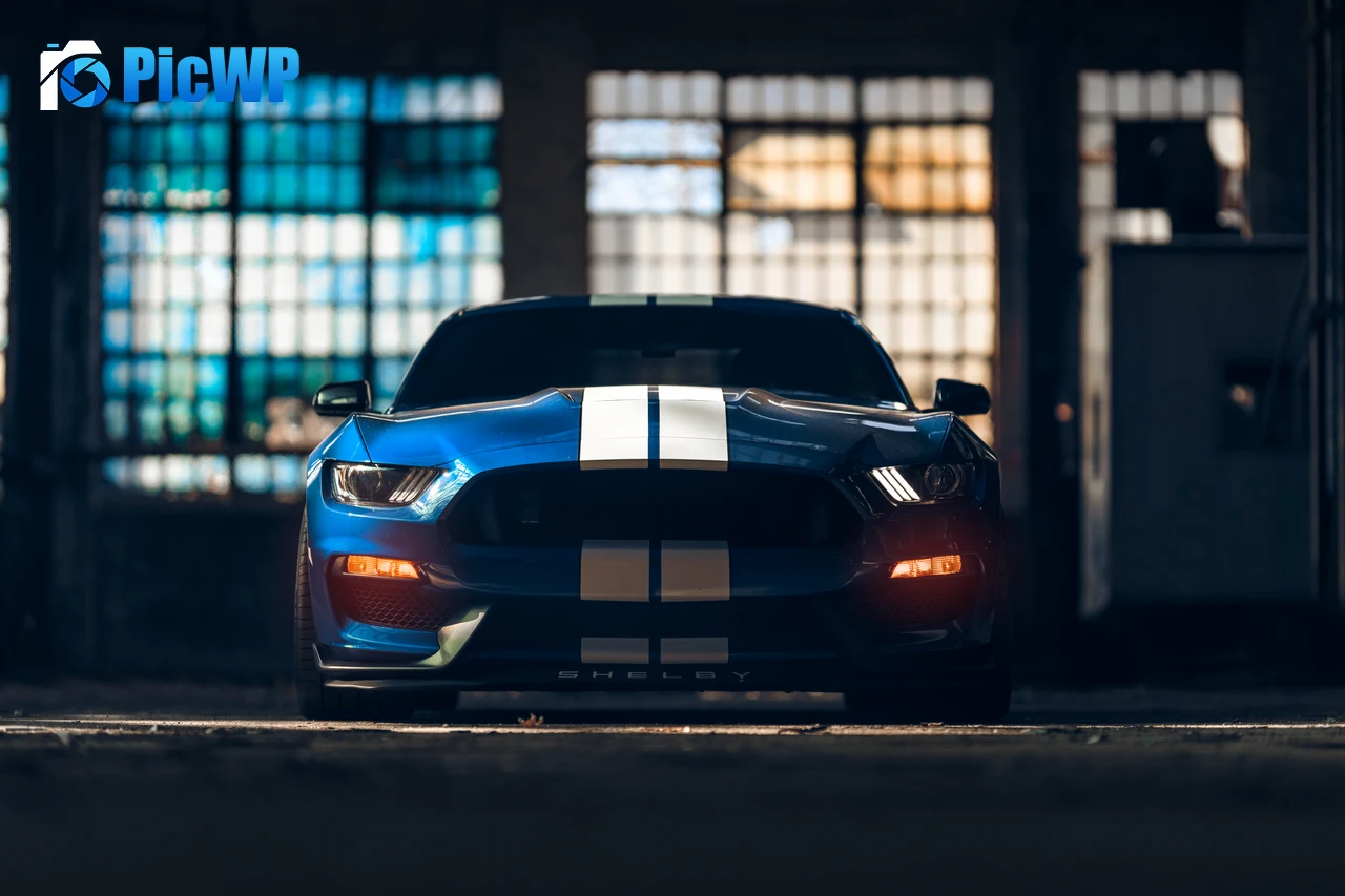 Ford Mustang Shelby GT350 American muscle car 6K PC Wallpaper