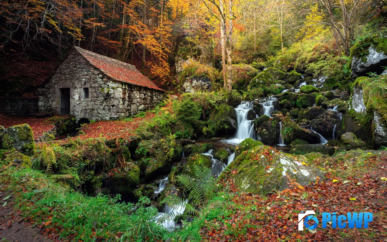 Jungle River Stone Mountain Cottage Autumn 5K PC Wallpaper