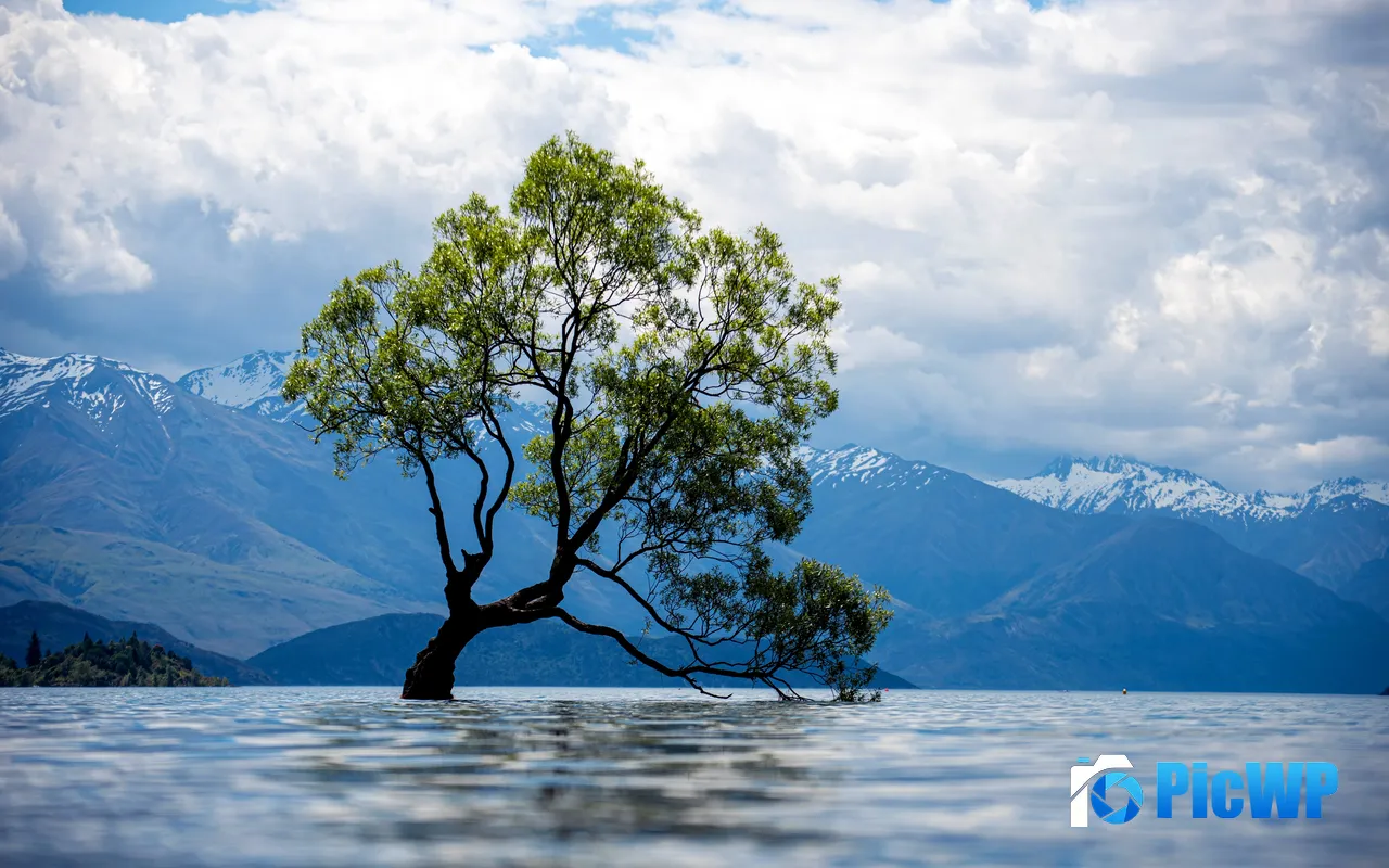 Lake Tree Snowy Mountains Clouds Fairyland 5K PC Wallpaper