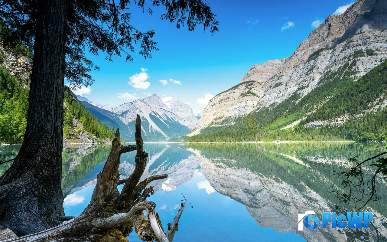 Kinney Lake Fraser Fort British Columbia Canada 5K PC Wallpaper