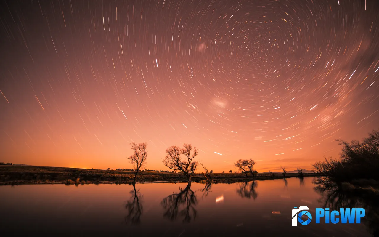 Star Tracks <font color=red>Night</font> Lake Trees Nature Scenery 5K PC Wallpaper
