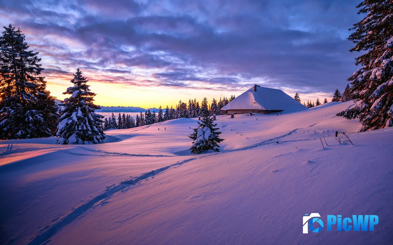 Snow Wood House Pine Trees <font color=red>Sunset</font> Sunlight 5K PC Wallpaper